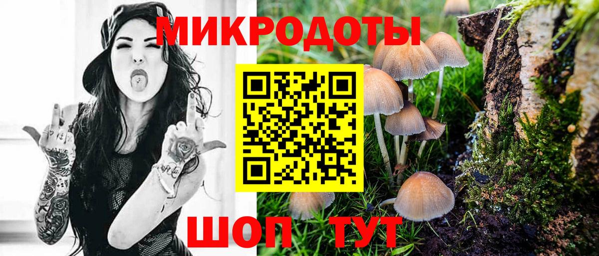 Жигулёвск  Псилоцибиновые грибы мухоморы  Вход с VPN 